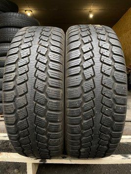 205/55 R16 Motrio Winter Far Away 00354 фото