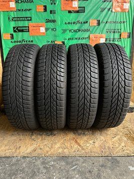 175/70 R14 Gislaved Euro Frost 5 00412 фото