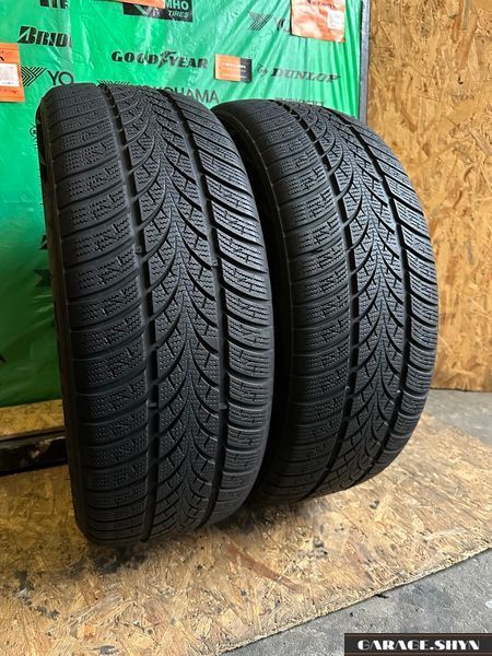 215/55 R17 Triange Winter X TW 401 00414 фото
